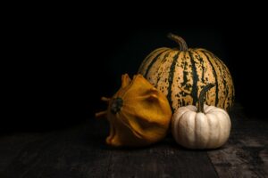 pumpkins-5646939_1920