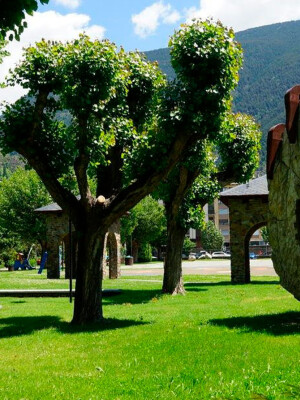 Parque exterior del pedral